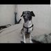 Allen Hodges - Facebook