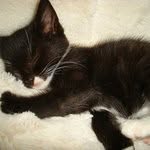 Allen Hodges - @allenhodges - Instagram