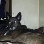 Allen Hodges - @allen.hodges - Instagram