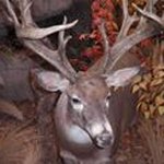 Allen Holt - @allenholt30 - Instagram