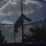 Allen Holtz - @allen_holtz12 - Instagram