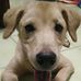 Allen Hu - Facebook