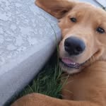 Allen Kraus - @allenkrausw9 - Instagram