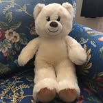 Bearie Allen-Krause - @bearie_allenkrause - Instagram