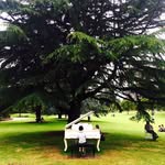 Allen Kwan - @allen.kwan.9876 - Instagram