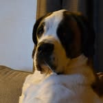 Allen Lanham - @allenlanham2002 - Instagram