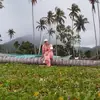 Allen Lim - @allenlim22 - TikTok