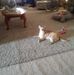 Allen Lloyd - Facebook