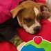 Allen Lloyd - Facebook