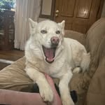 Allen long - @allenlong686 - Instagram
