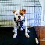 Allen Long - @allen.long.73 - Instagram