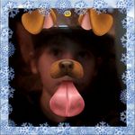allen long - @longallen80 - Instagram
