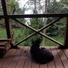 Allen Long - @allen.long7 - TikTok