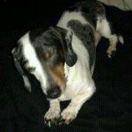 Allen Long - @allenlong72 - Instagram