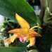 Allen Loy - Facebook
