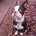 Allen Lynn - Facebook