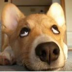 Allen Mao - Facebook