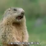 Allen Mao - @allen.mao - Instagram