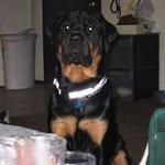 Allen Maples - @bestkeptsecret360 - Instagram