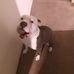 Allen Maples - Facebook