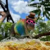 Allen Martinez - @allen.martinez25 - TikTok