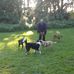 Allen McKee - Facebook