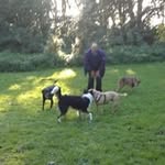 Allen McKee - @allen.mckee.1232 - Instagram