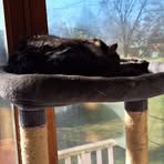 Allen Meier - Facebook