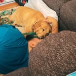 Bryce Allen Lamphier Meier - @imyourdaddy515 - Instagram