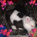 Allen Meister - Facebook