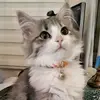 Mell Allen - @mell.allen8 - TikTok