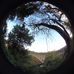 Miles Allen - Facebook