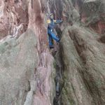 Allen Mitchem - @allenmitchem1 - Instagram