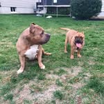 Allen Monroe - @allenmonroe5855 - Instagram