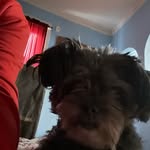 Allen Moreno - @allenjmx - Instagram