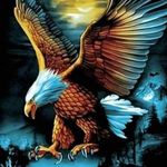 Allen Morrill - @sprdrl1morrill1963 - Instagram