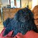 Alan Nagle - Facebook
