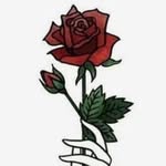 Allen Noble - @hilogrown720 - Instagram