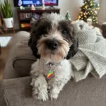 Billie Josh Allen Noble - @billie_joshallen_noble - Instagram
