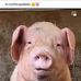 Alan Olivas - Facebook