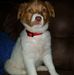 Allen Olson - Facebook