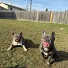 Jayallenpackadventures - @jayallenpackadventures - TikTok