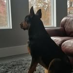 Capone Allen Peck - @capone_allen - Instagram