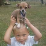 Allen Powers - @the_goat_ap_ - Instagram