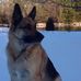 Alan Ruhl - Facebook