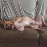 Allen Mmfwcl Gruhlke - @gruhlkeallen - Instagram
