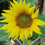 Kimberly Allen Rutherford - @kimberlyallenrutherford - Instagram