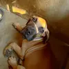 Allennaffy - @allennaffy.com - TikTok