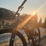 Tyler Allen-Shively - @tylerallenshively - Instagram