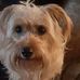 Allen Steelman - Facebook